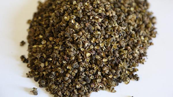 新鲜青花椒怎么吃好吃又简单