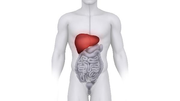 最滋补肝肾的7大食物是什么