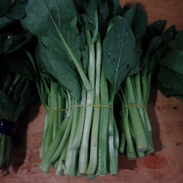 吃青菜不消化拉青菜是怎么回事