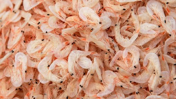 骨头汤、虾皮不补钙！5种食物才是“补钙王者”，很多人却不爱吃