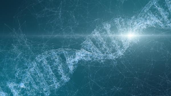 DNA<1.00E+02正常吗