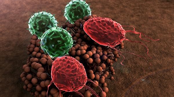 细菌过度生长综合征怎么治疗