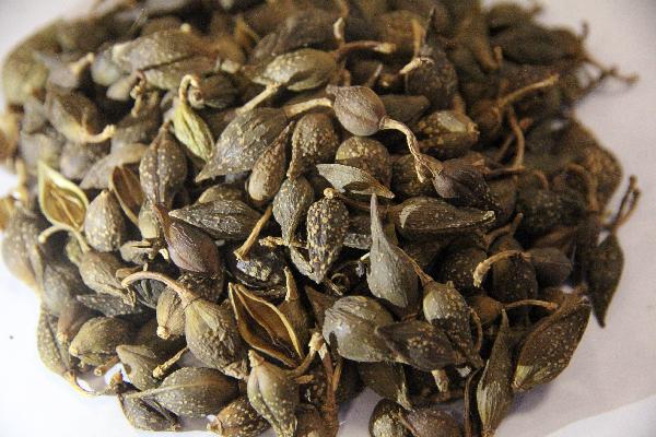 常見的藥物不良反應(yīng)有哪些
