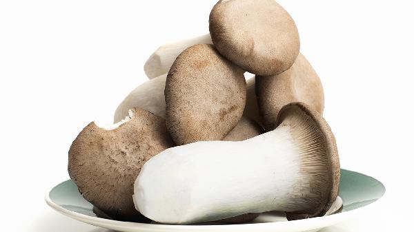 杏鲍菇不能和哪10种食物一起吃