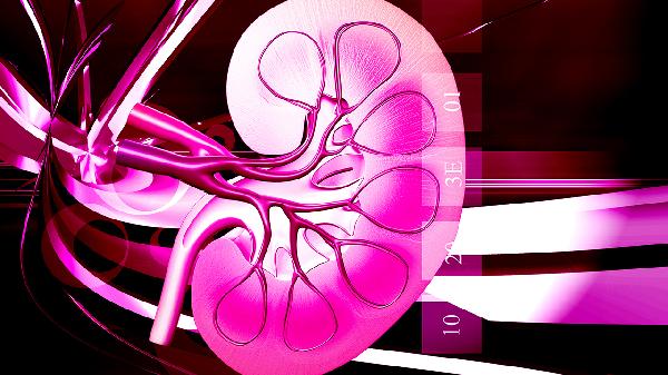 得了痛風(fēng)性腎病該怎么治療