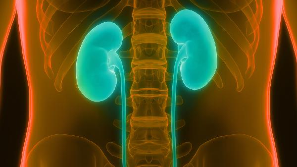 补肾食疗6个经典秘方
