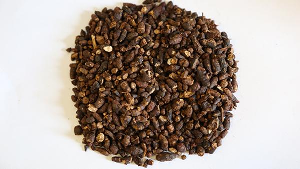 鬼箭羽是什么中药 鬼箭羽的替代品