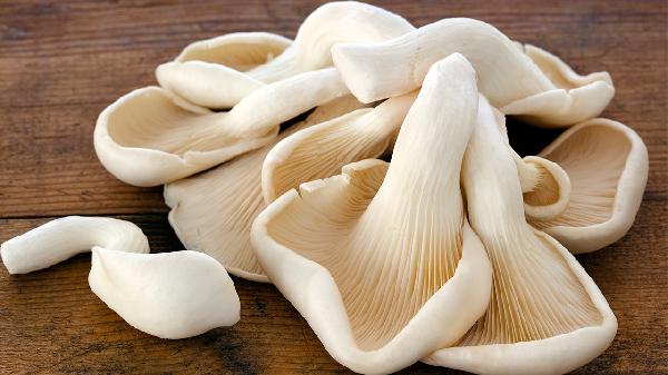 怎么辨別野生蘑菇和野生菌
