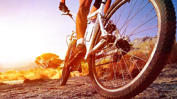 初三成绩不好怎么走体育生