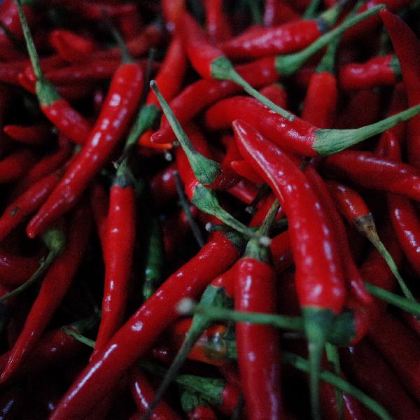 鲜辣椒能放冷冻吗