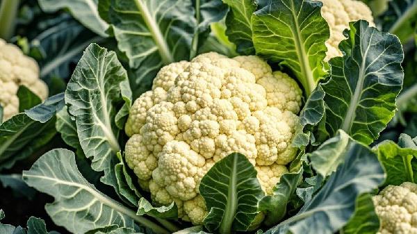菜花怎样去除农药