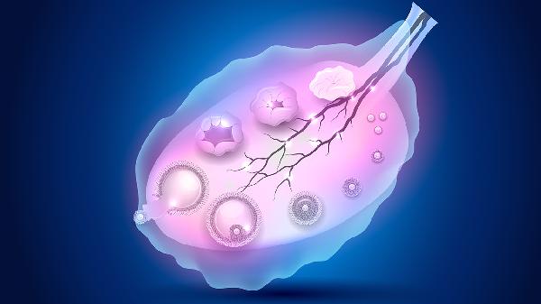 生殖细胞瘤转移到脊髓的症状
