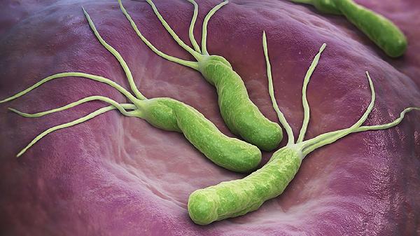 hpv病毒是什么原因引起的啊