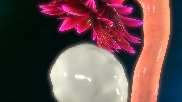 肝上长了6-7cm肿瘤严重吗