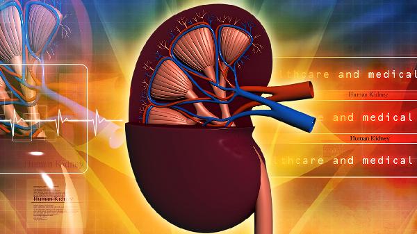 肾功能不全包括哪些疾病症状