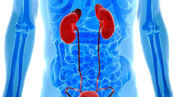 肾囊肿对人体有哪些危害呢