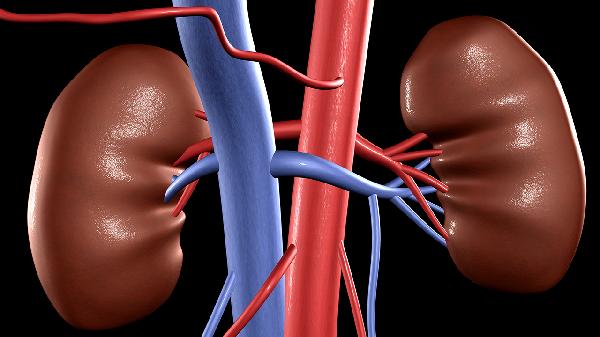 肾囊肿怎么治疗才能消除
