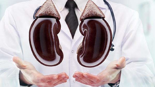 肾囊肿手术后多久恢复正常性