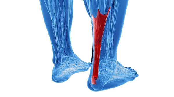 大腿粗怎么办 教你立减粗大腿的6方法