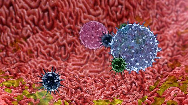 巨核细胞增多伴成熟障碍是什么病