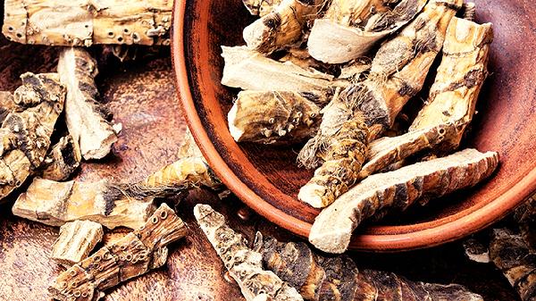 白术可以和什么药材一起泡水喝