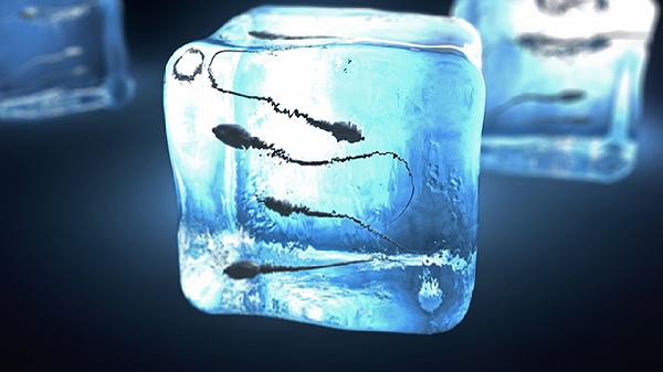 精子发红是什么引起的 精子发红的3个原因分析