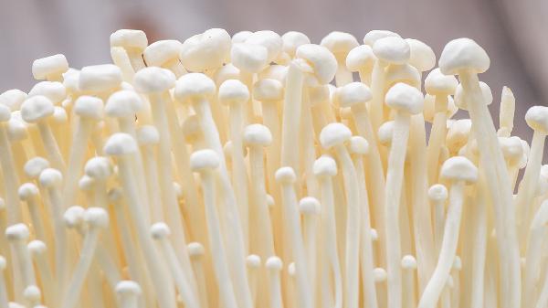 清理肠道宿便最好食物