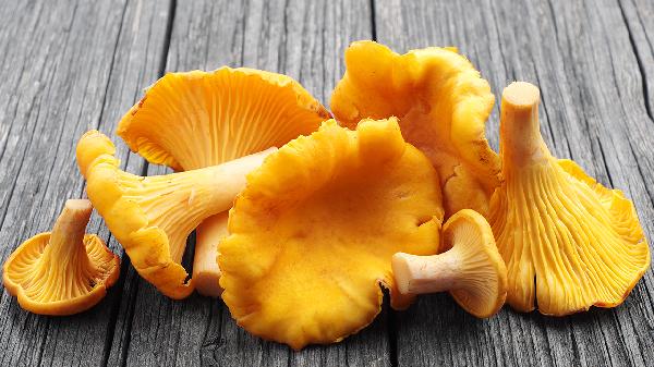 鸡油菌怎么做汤好喝