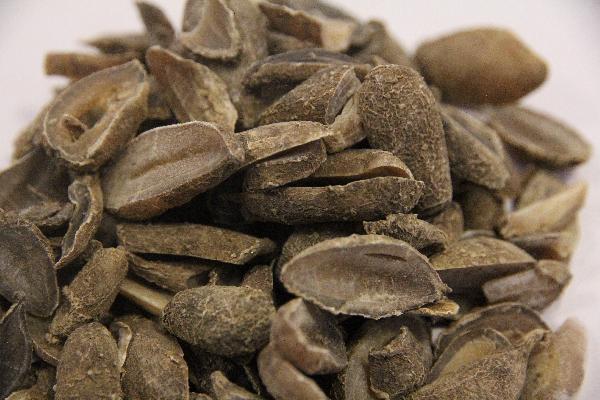 温经散寒通络中药配方