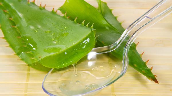 芦荟胶可以代替精油刮痧吗 刮痧油用什么油好