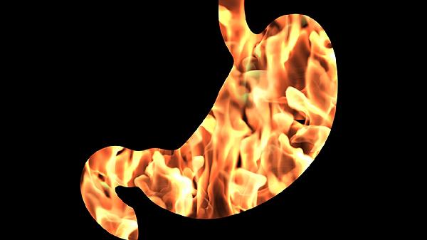 鸡身上最毒三个器官