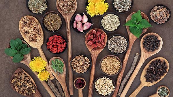 什么药材是补气血的