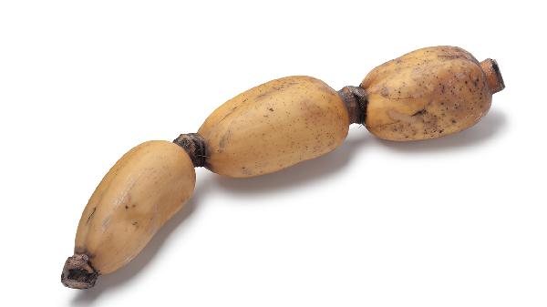 产乳的食物有哪些