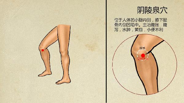 中医四季养生与脏腑养生