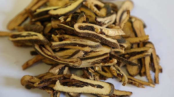 麸炒枳壳和麸炒枳实的区别