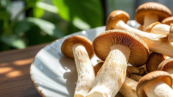 3种女人不适合吃鹿茸菇