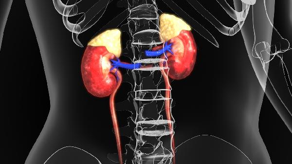 得了尿毒症，透析能延续多长寿命？临床研究：大多在这段时间内