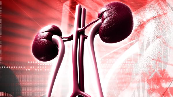 得了尿毒症，透析能延续多长寿命？临床研究：大多在这段时间内