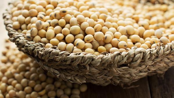 黄豆打成粉用开水冲一下能喝吗