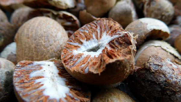 含铁高的有哪些食物和水果