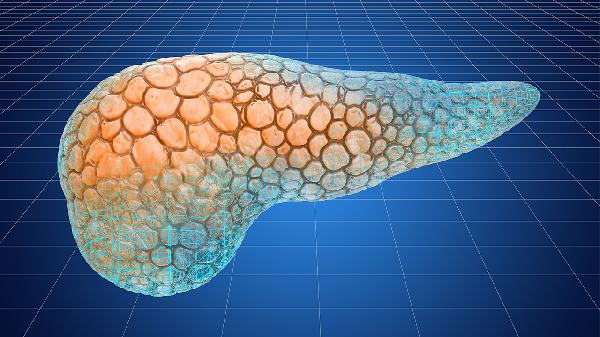 鱼饭不去内脏怎么吃