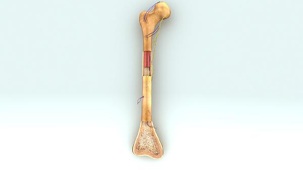 骨转移28天打一针要打多久