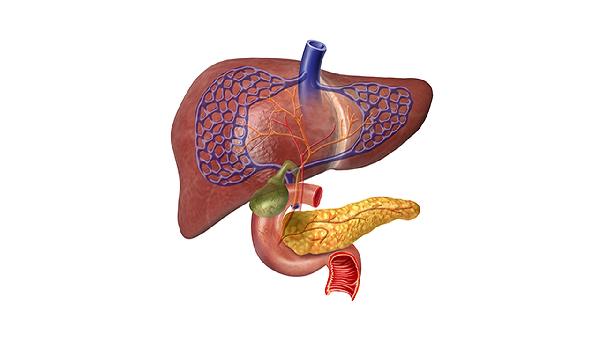 急性胰腺炎和胆道疾病有关系吗？