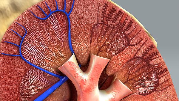 冠脉CT能查出血管堵塞程度吗