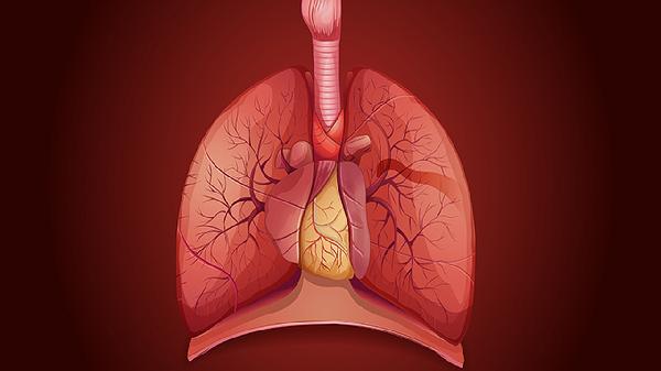 肺部有亚实性结节是什么意思