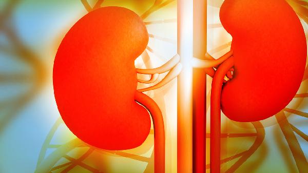 慢性肾病二期能喝枸杞水吗