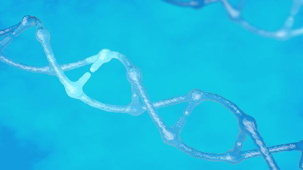 无创性染色体高风险怎么回事