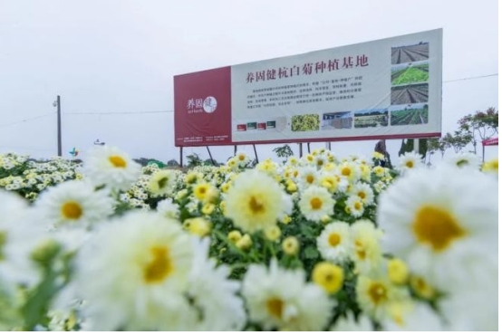 无限极荣膺“道地药材杰出贡献奖”，引领中医药国际化新风尚