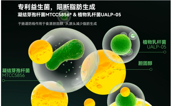 熬夜肝受罪,LAIFE「乐轻肝」解锁肝脏自护模式