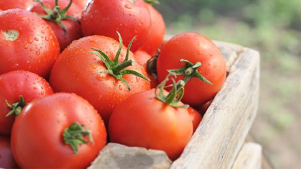 肾阳虚食物食谱分享 8个食谱远离肾阳虚